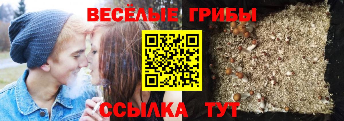 Псилоцибиновые грибы Magic Shrooms  Вход с VPN  Первоуральск 