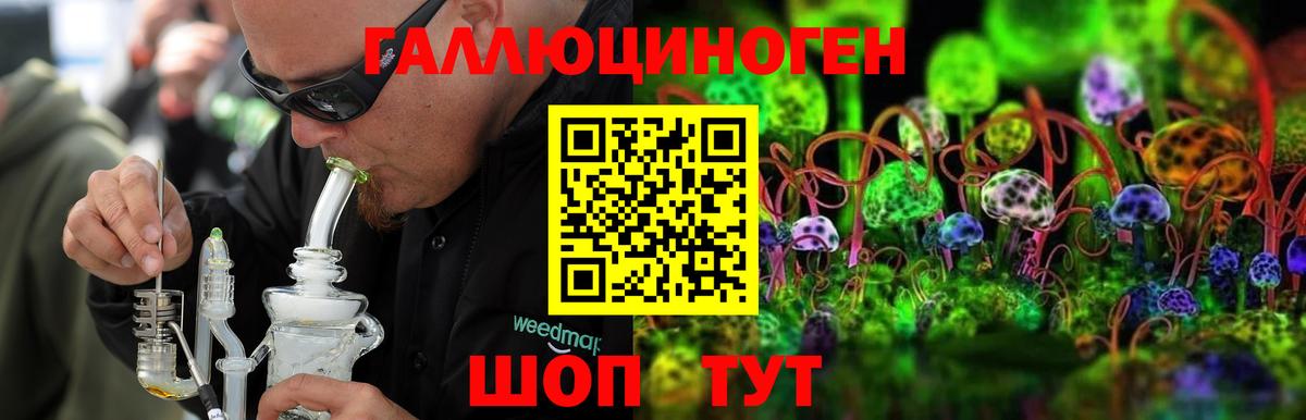 Галлюциногенные грибы Psilocybine cubensis Первоуральск